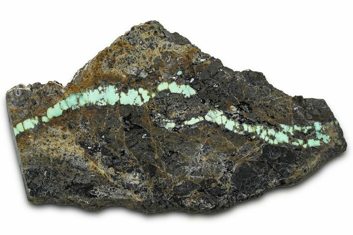 Polished Turquoise in Matrix Slab - Nevada #371566